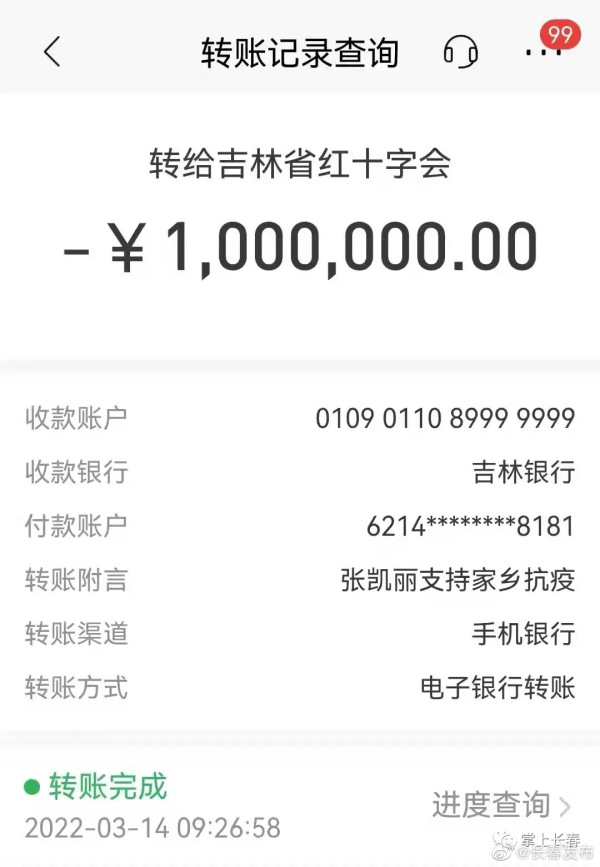 支援抗疫,张凯丽、李玉刚向家乡吉林捐款休闲区蓝鸢梦想 - Www.slyday.coM 支援抗疫,张凯丽、李玉刚向家乡吉林捐款休闲区蓝鸢梦想 - Www.slyday.coM