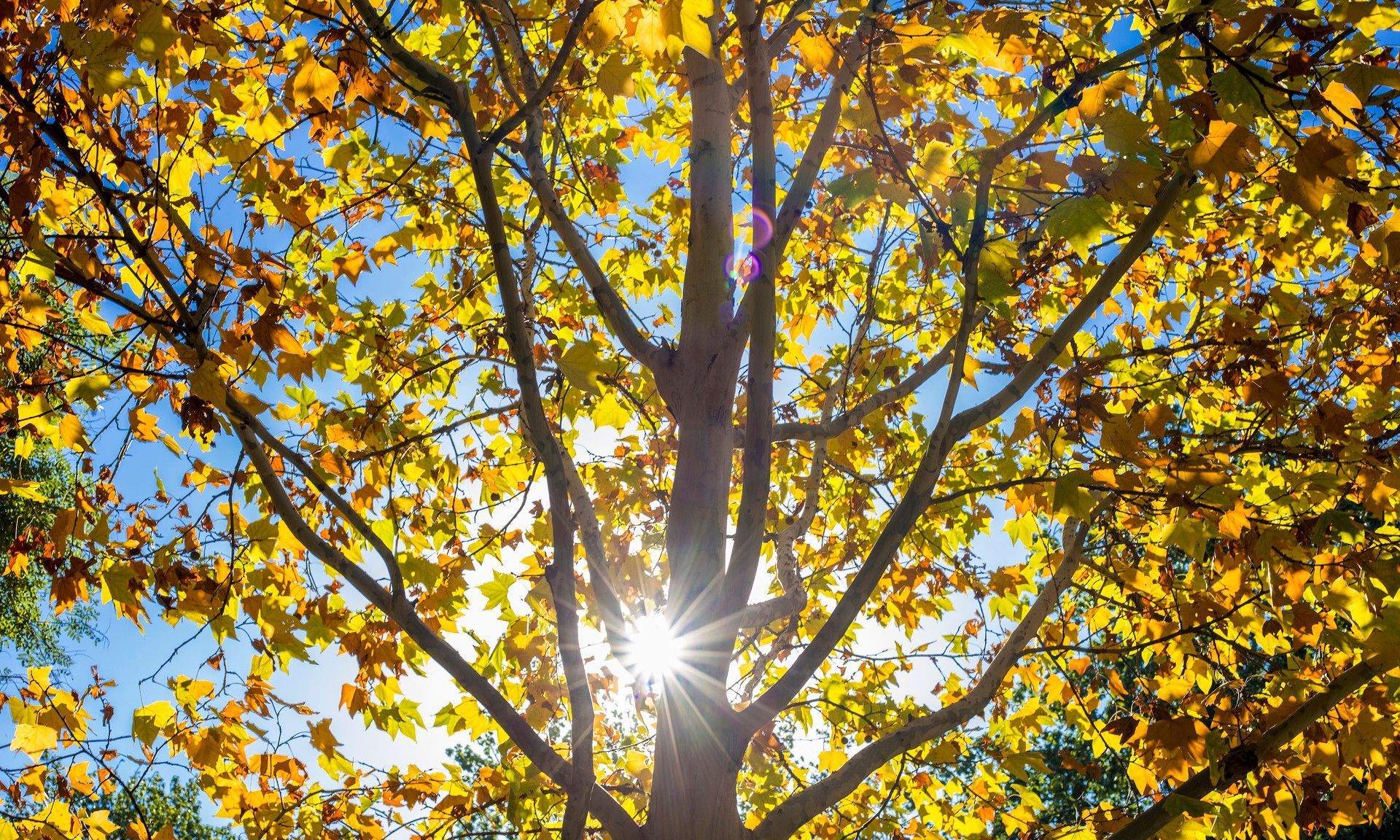 “不就是没让你上大学，供弟弟读书吗？现在居然不管我们，不孝”休闲区蓝鸢梦想 - Www.slyday.coM