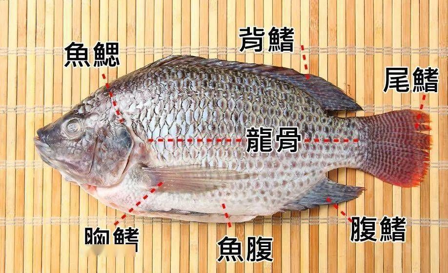 鱼虽好吃,鱼刺却让人头疼!教你几招,轻松拆解鱼刺
