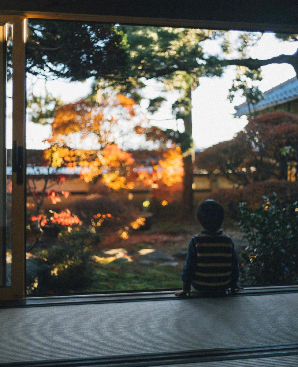 真实无忧无虑生活会怎样 转基因生物和无性繁殖动物繁殖能力如何