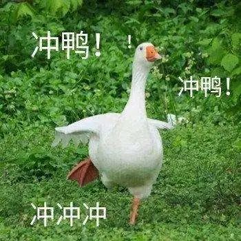贵州人才招聘信息网_贵州一大波事业单位、国企招聘信息来袭