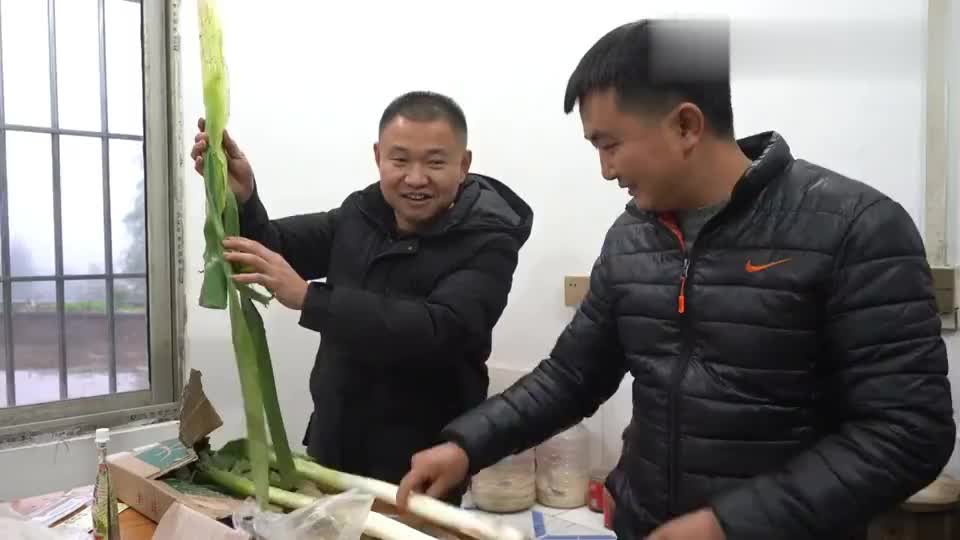 农村王四四哥活35年第一次受到这么大的侮辱还没一根葱高