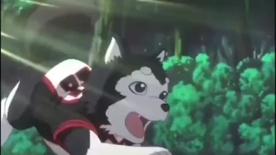 黑子的篮球 火神考试补课逃跑 黑子二号追得比黑子都要凶 黑子的篮球 火神考试补课逃跑 黑子二号追得比黑子都要凶