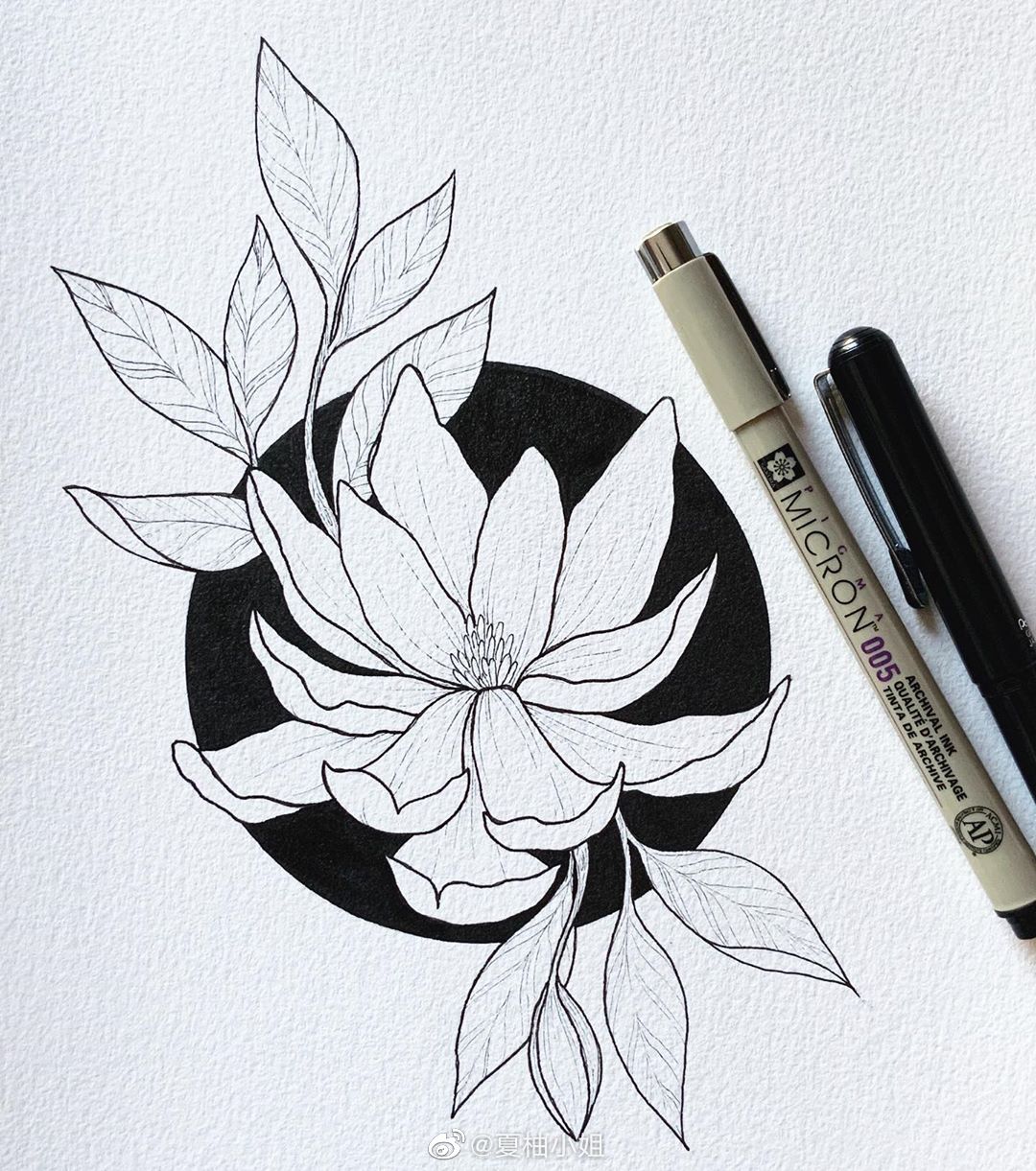 一支笔也能画的创意线描花卉:nikki