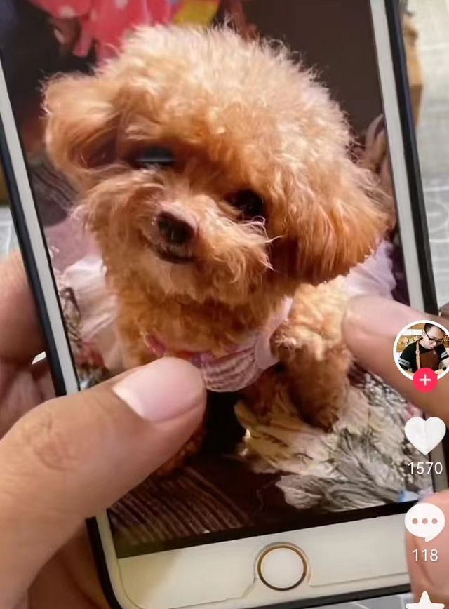 河北小伙4年来坚持做这件事,网友:被治愈了休闲区蓝鸢梦想 - Www.slyday.coM 河北小伙4年来坚持做这件事,网友:被治愈了休闲区蓝鸢梦想 - Www.slyday.coM