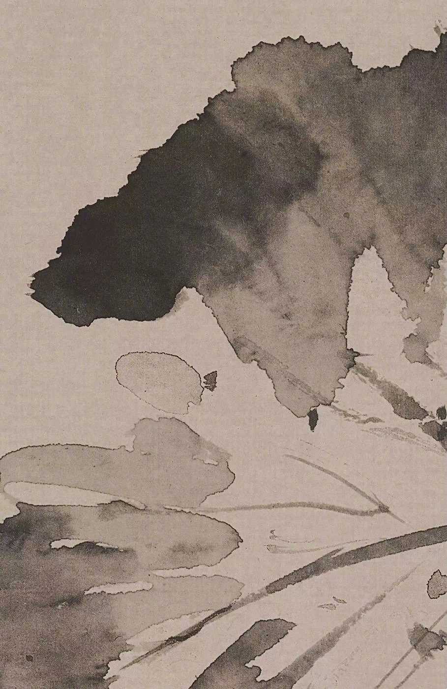 徐渭真迹中观察笔墨意趣盎然生机