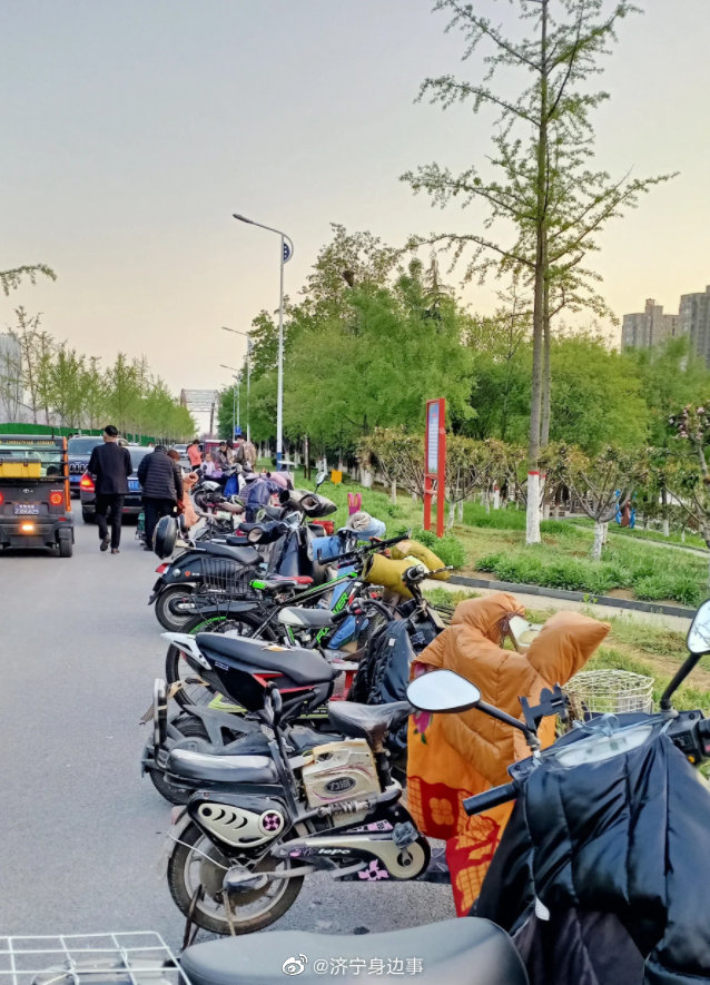 济宁 杨家河公园郁金香开放的季节,周边道路必须是拥堵!