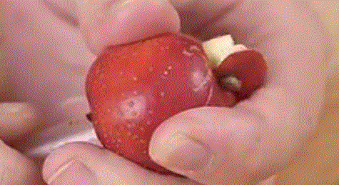 秋天才有的酸果子,身体又虚又淤的人,一定要多吃休闲区蓝鸢梦想 - Www.slyday.coM 秋天才有的酸果子,身体又虚又淤的人,一定要多吃休闲区蓝鸢梦想 - Www.slyday.coM