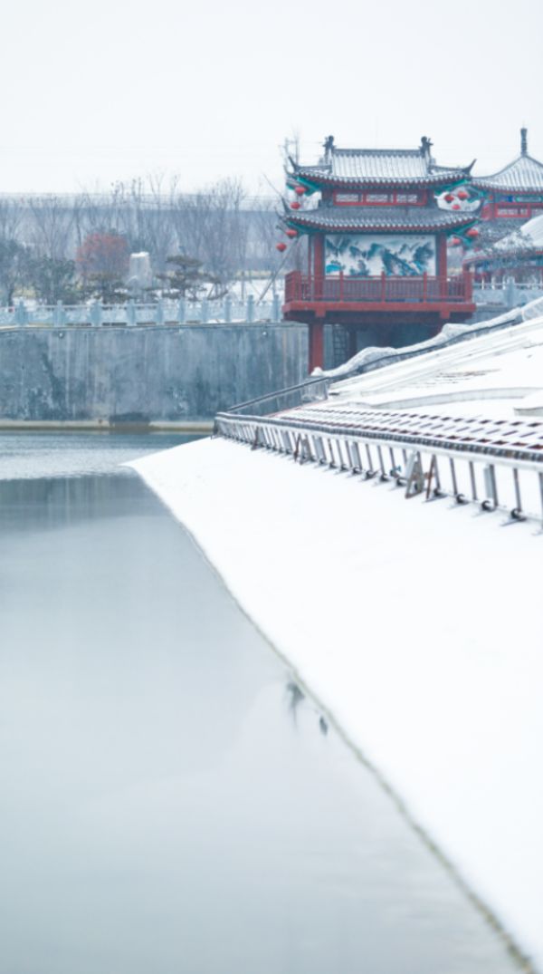 郑州迎来新年第二场雪|郑州|雪景|大河网_新浪新闻