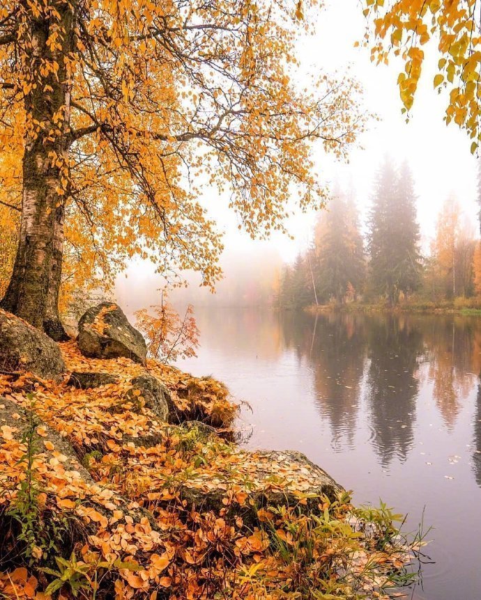 芬兰的秋天,闲适静谧__财经头条