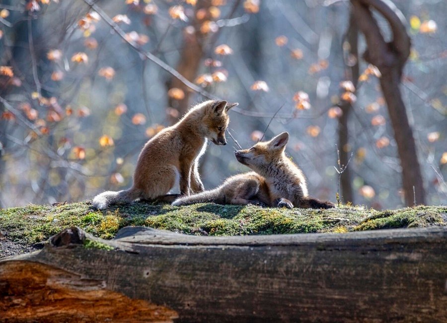 美图生命中的那些美好