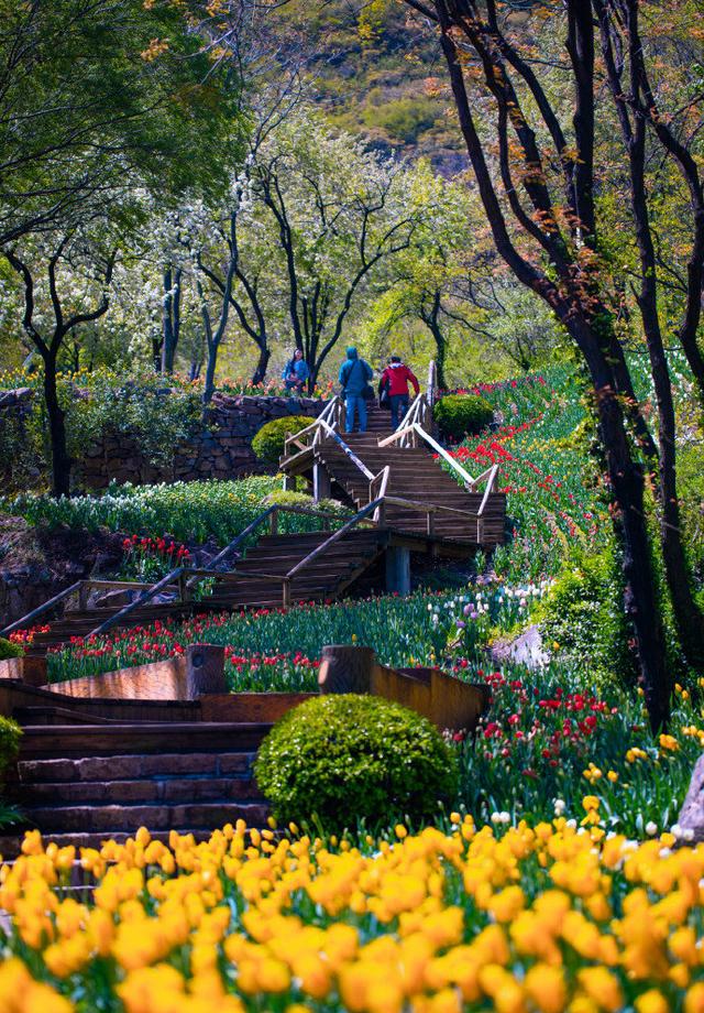 权威公布2022全年放假安排！不出济南的“全球”打卡攻略带你“一秒出国”，刷爆朋友圈！休闲区蓝鸢梦想 - Www.slyday.coM