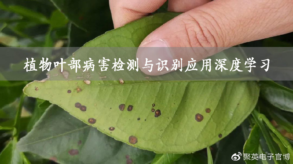 这是大豆什么病害？