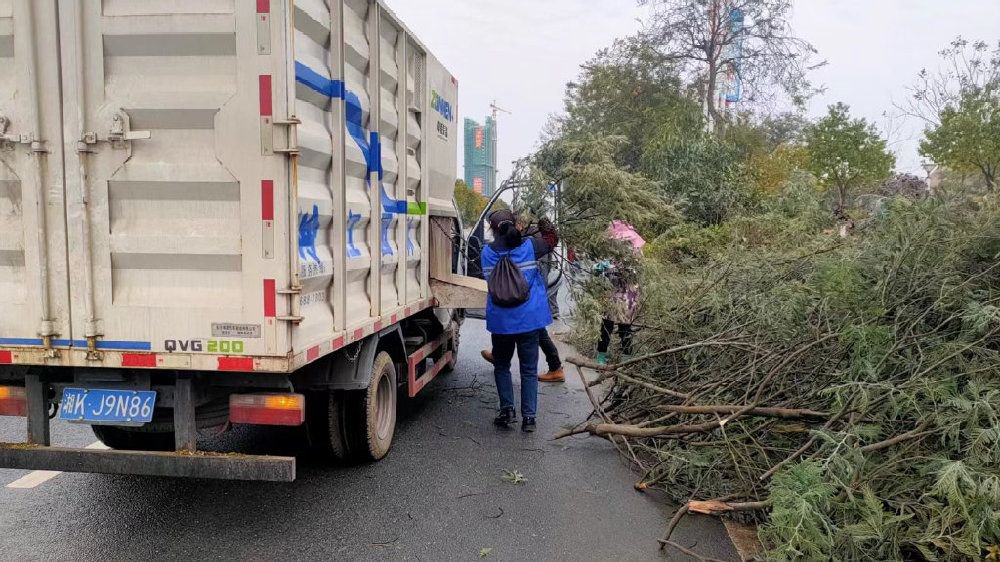 高速公路绿化废弃树枝怎么处理,树木粉碎车实现资源再次循环利用|交通安全|木材|环保|可持续发展|木屑_新浪新闻