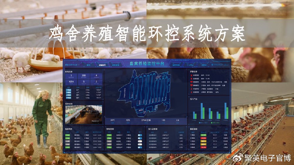 【智慧养殖】鸡舍养殖智能环控系统,在线调控,标准化管理|温湿度|鸡舍|养殖_新浪新闻