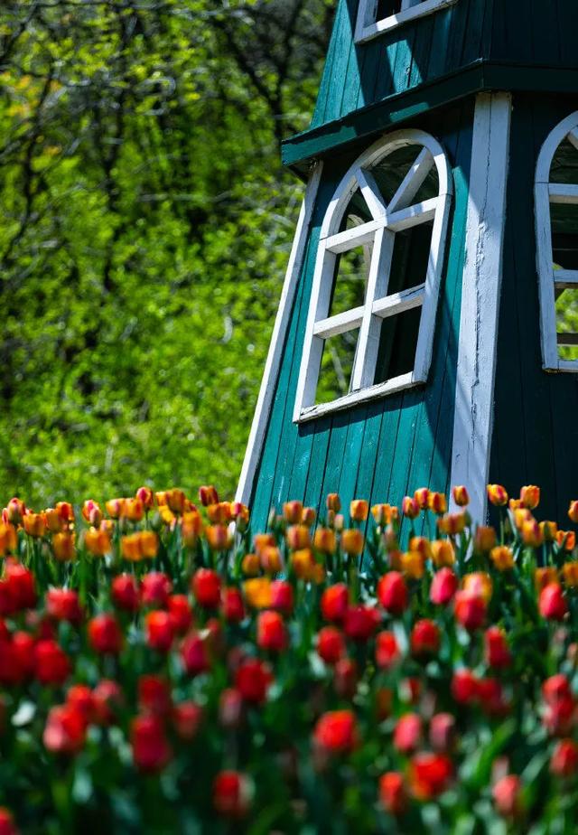 权威公布2022全年放假安排！不出济南的“全球”打卡攻略带你“一秒出国”，刷爆朋友圈！休闲区蓝鸢梦想 - Www.slyday.coM