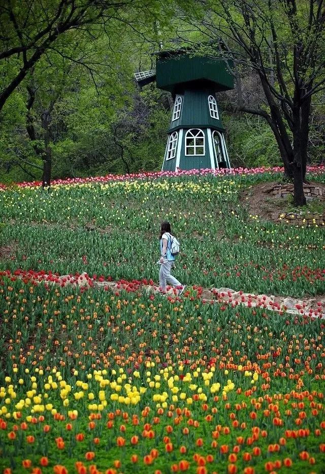 权威公布2022全年放假安排！不出济南的“全球”打卡攻略带你“一秒出国”，刷爆朋友圈！休闲区蓝鸢梦想 - Www.slyday.coM