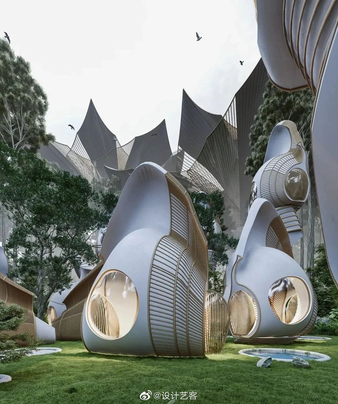 丛林探秘,树林中的仿生小筑_高清图集_新浪网