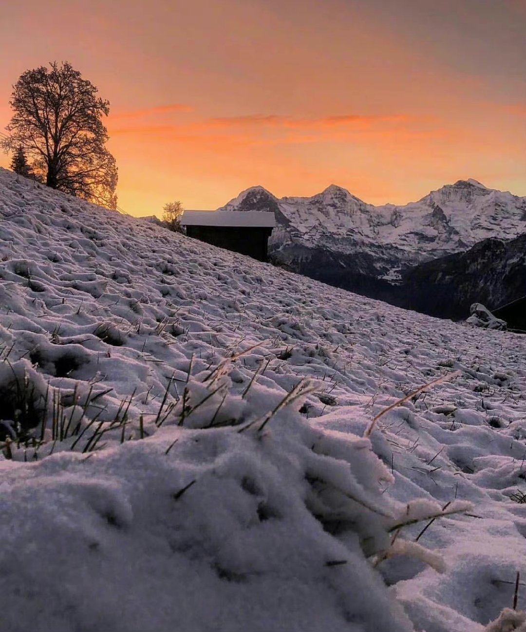 夕阳下的瑞士雪景 | ins:swissmountainview__财经头条