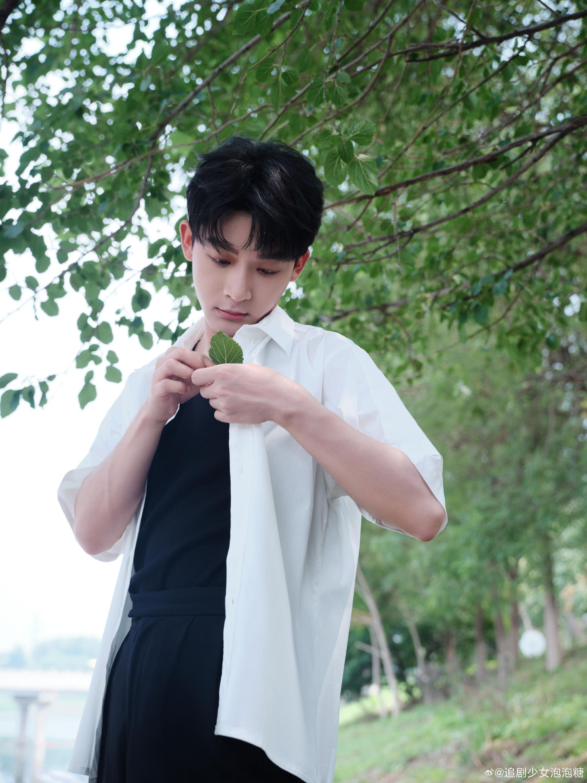 张晚意微博分享夏末限定随拍,定格青葱绿意……|好时光|太阳_新浪新闻