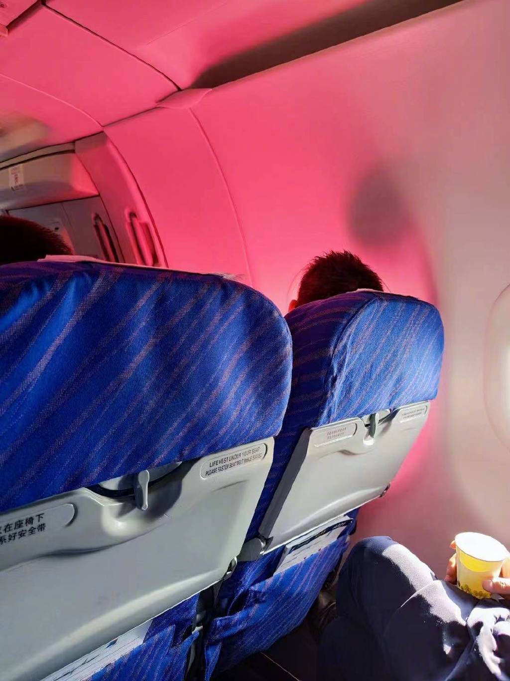 在飞机上千万不要穿鲜艳的衣服