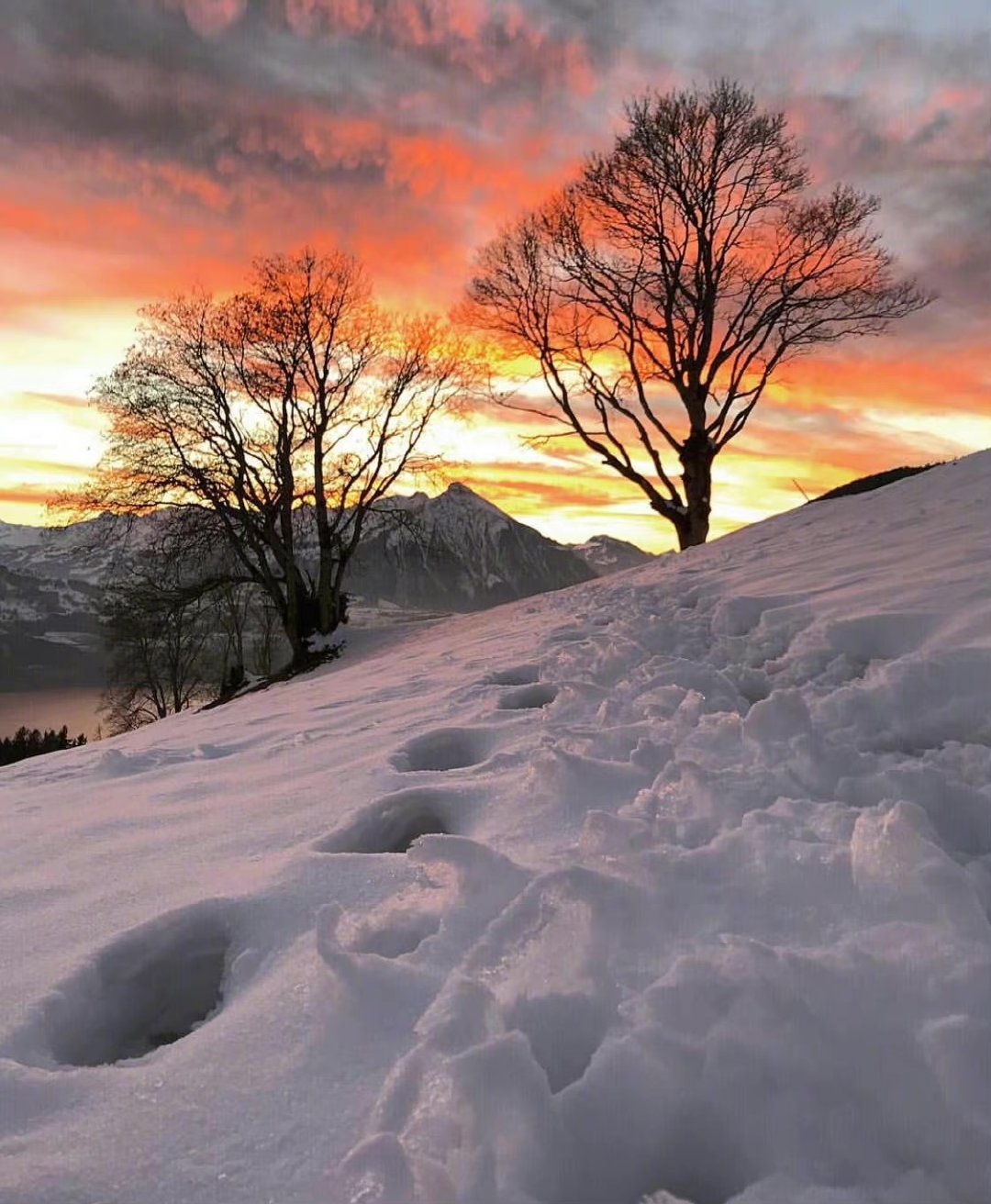 夕阳下的瑞士雪景insswissmountainview