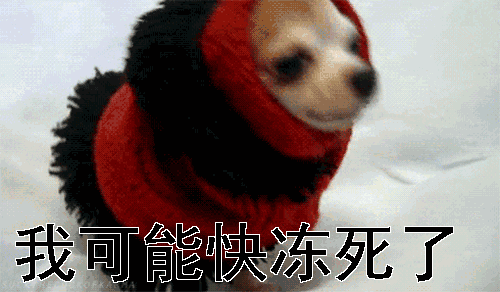 今年这雪怎么没完没了是气候乱象吗专家拉尼娜解释不了