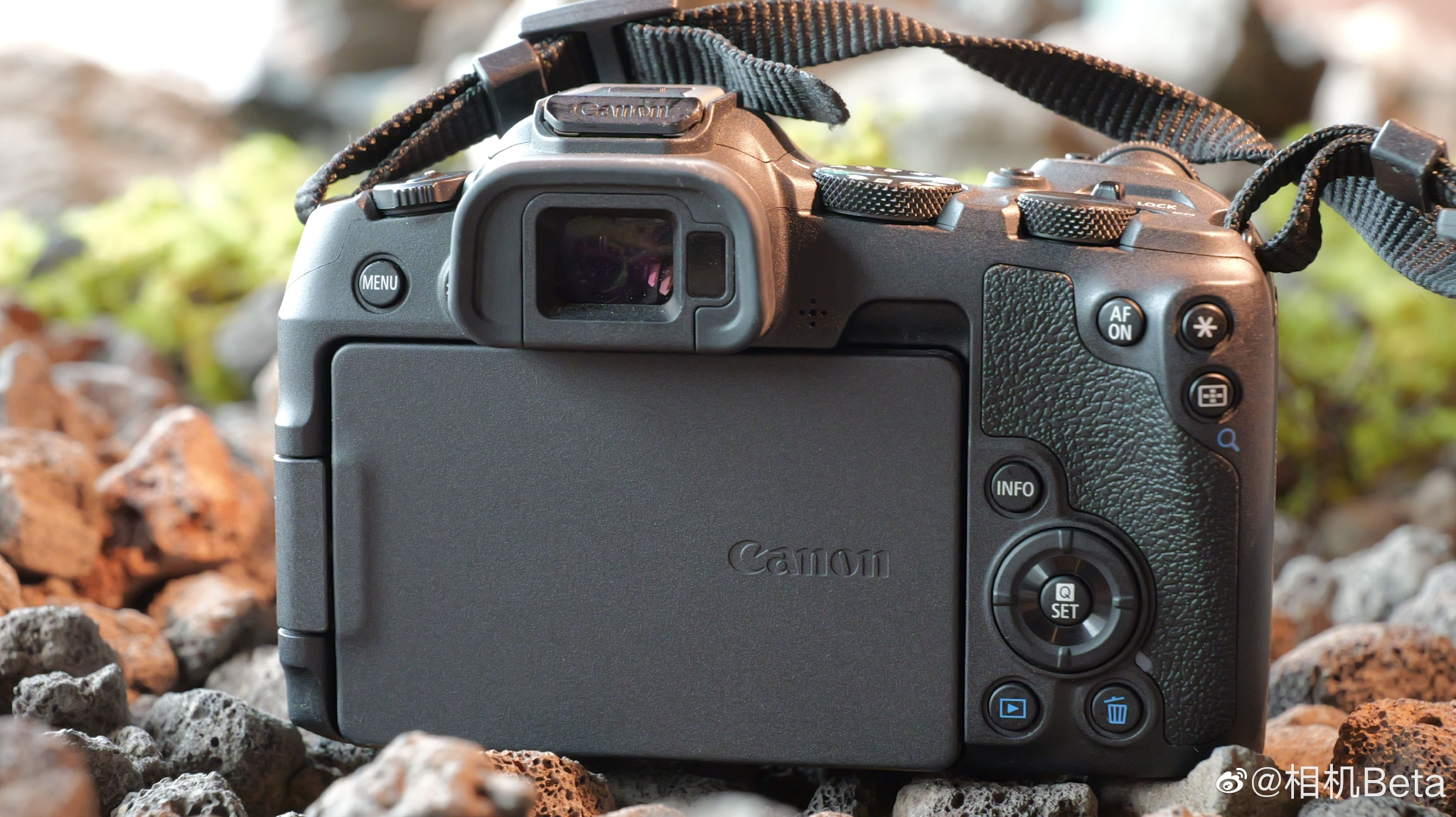 看看细节吧|细节|佳能eos_新浪新闻