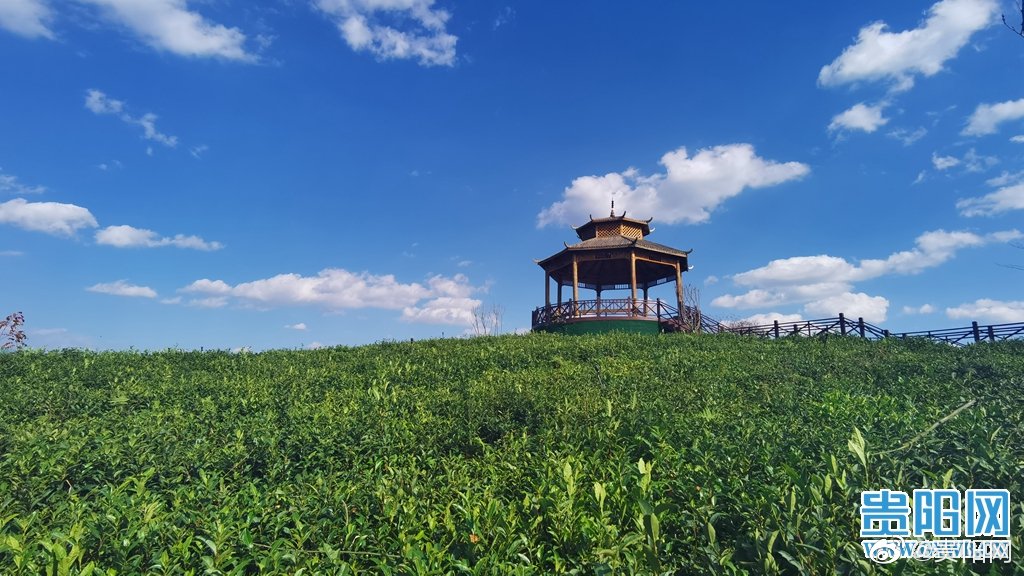 贵阳芦荻哨村初冬时节美景如画