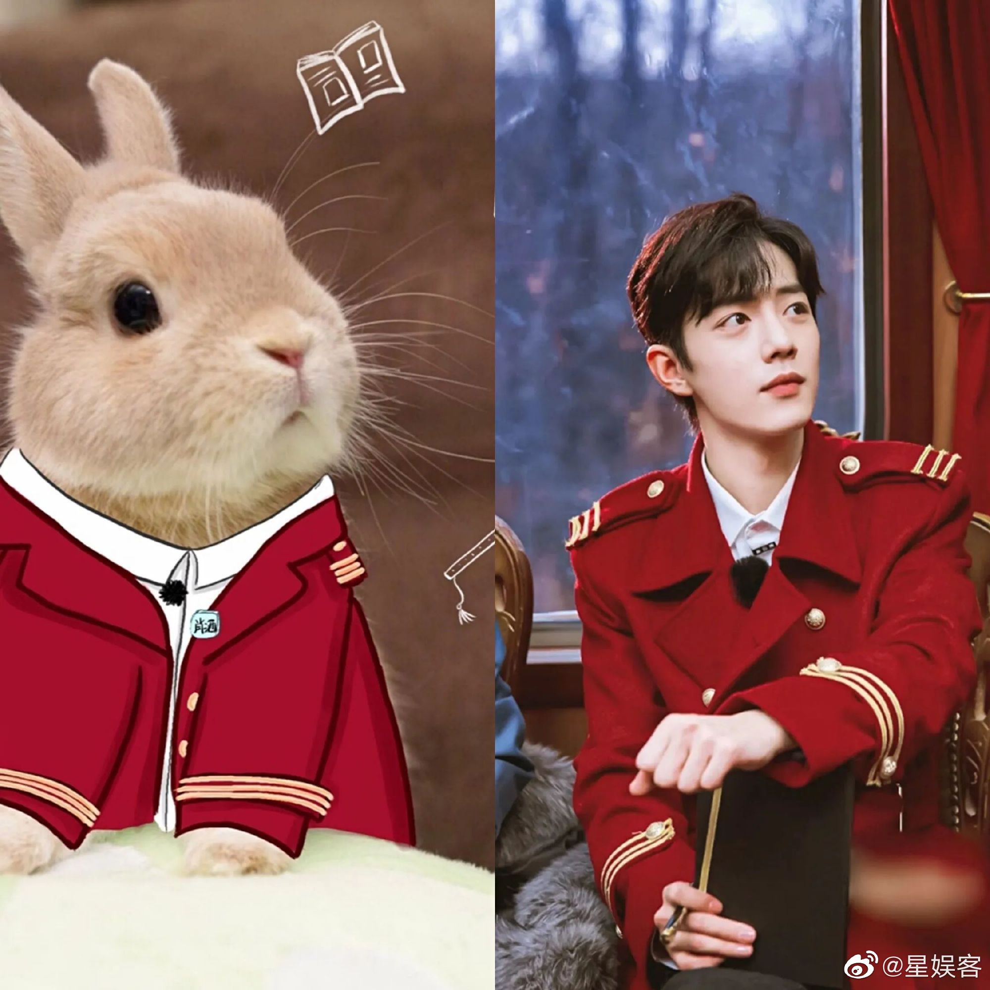 肖战与兔子撞脸合集,这也太可爱了@x玖少年团肖战daytoy
