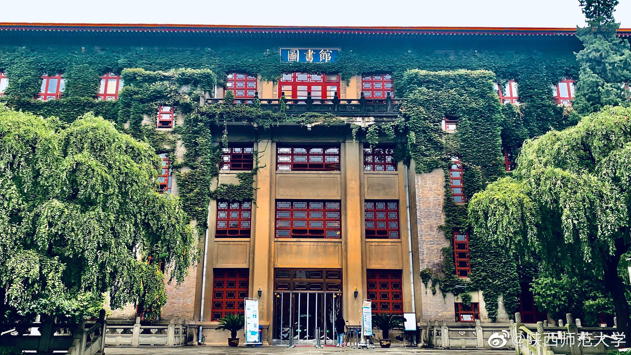 红窗,古砖,绿叶,方棱……雨中的图书馆更有意蕴