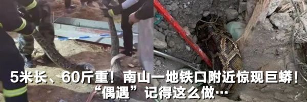 24岁消防员飞身扑救轻生女子，坠落也未曾松开…休闲区蓝鸢梦想 - Www.slyday.coM