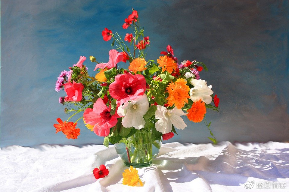 成年人的世界里,只有一件事最重要休闲区蓝鸢梦想 - Www.slyday.coM 成年人的世界里,只有一件事最重要休闲区蓝鸢梦想 - Www.slyday.coM