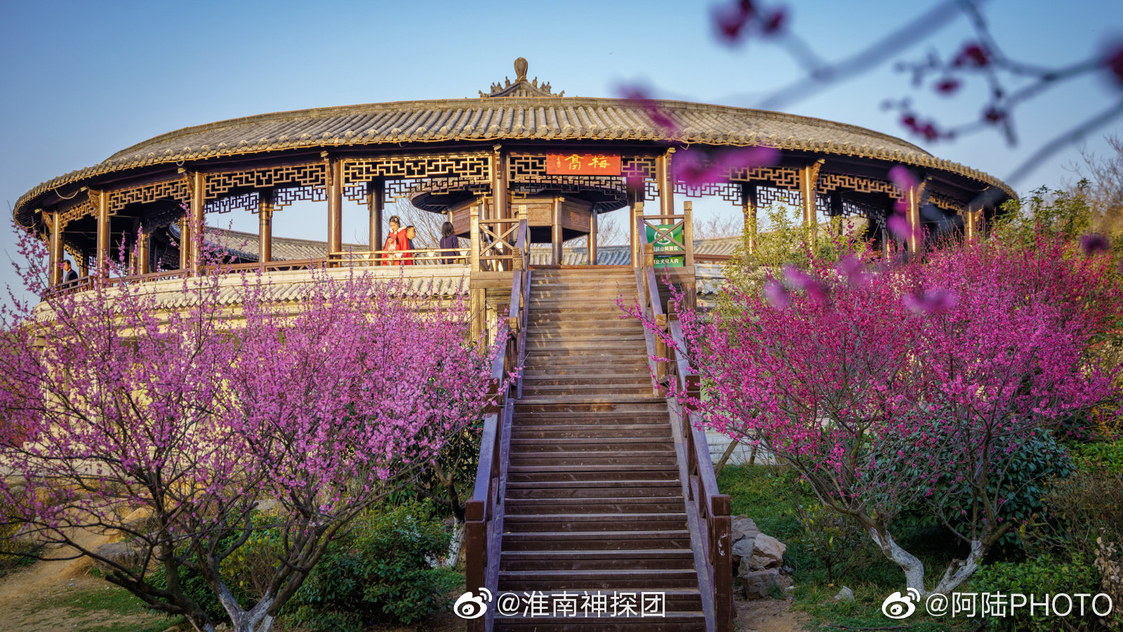 淮南舜耕山风景区梅园,这两天终于没什么人了,那正好拍些照片给你们看