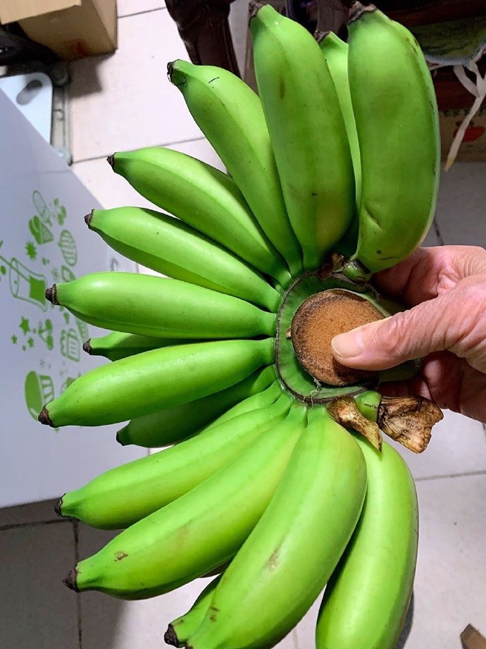 9,海南皇帝蕉 3斤~__财经头条