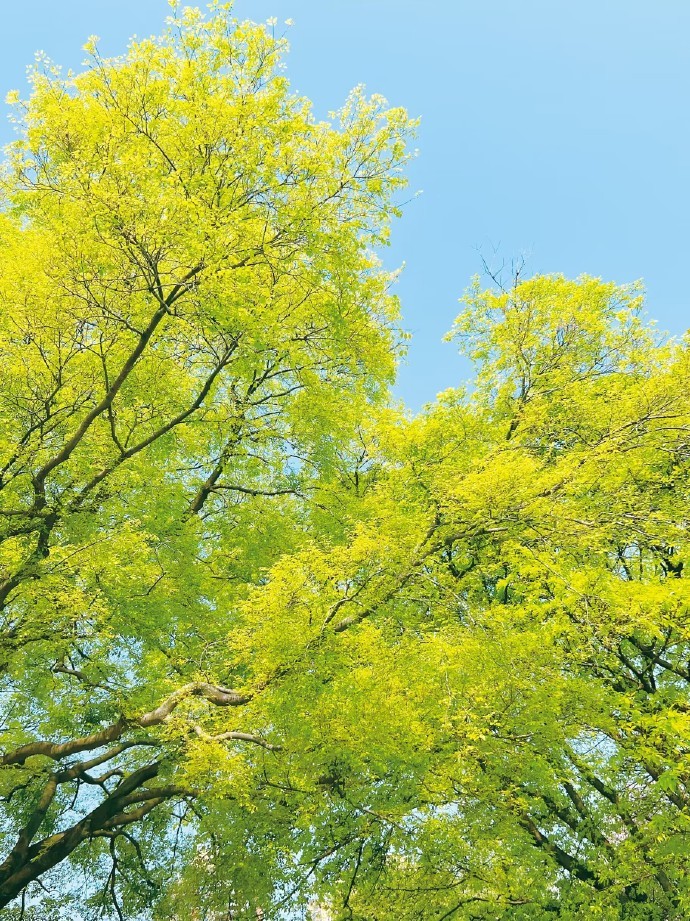 绿色,孕育着生机,憧憬着希望,蕴涵着活力……__财经头条