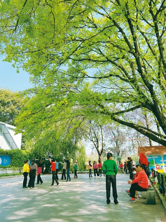 绿色,孕育着生机,憧憬着希望,蕴涵着活力……__财经头条