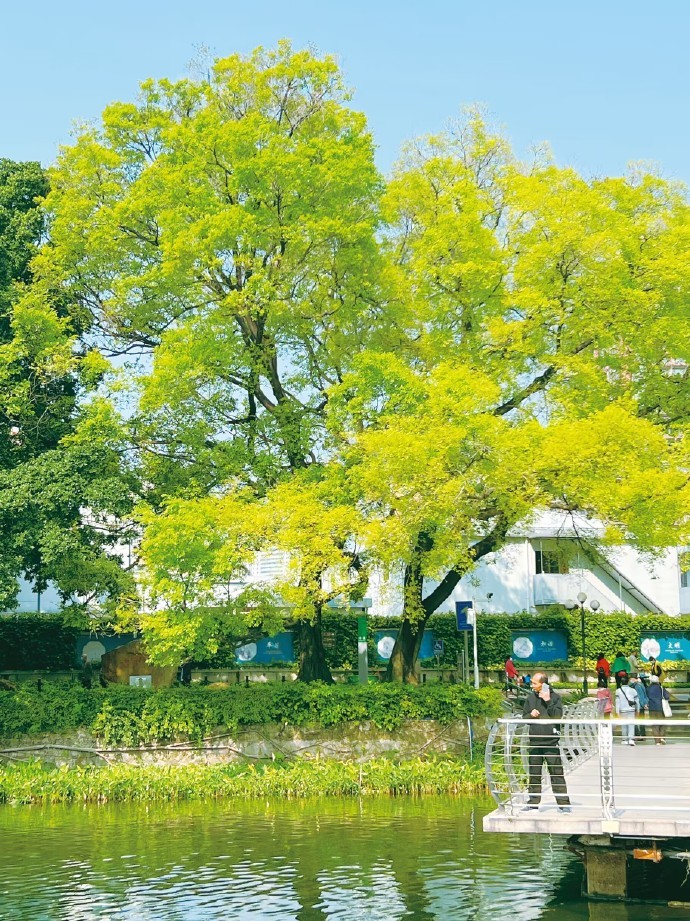 绿色,孕育着生机,憧憬着希望,蕴涵着活力……__财经头条