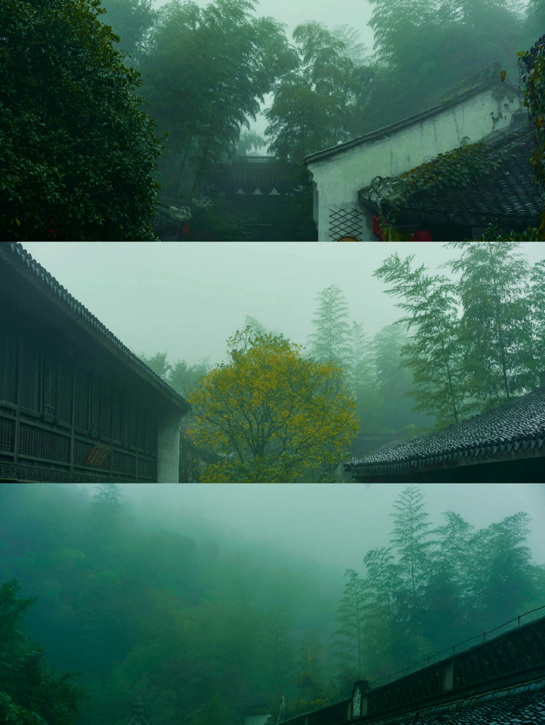 秋色连波,波上寒烟翠……__财经头条