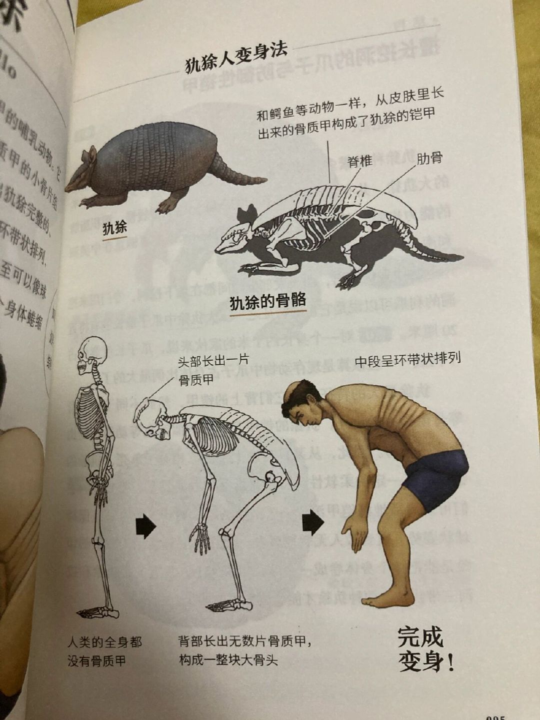 跟动物交换身体科普文我大为震惊