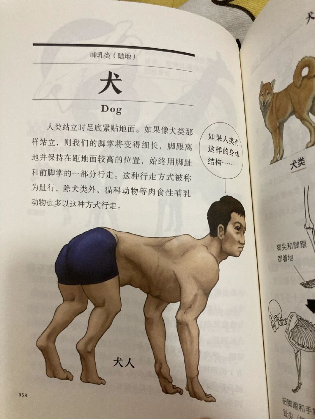 跟动物交换身体科普文我大为震惊