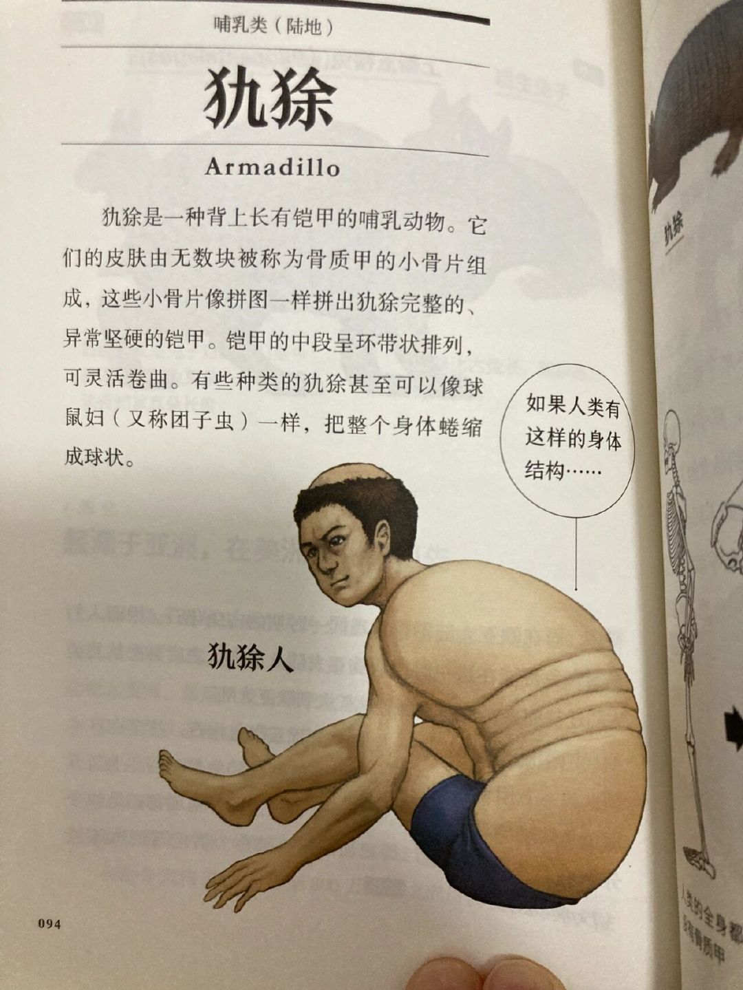 跟动物交换身体科普文我大为震惊