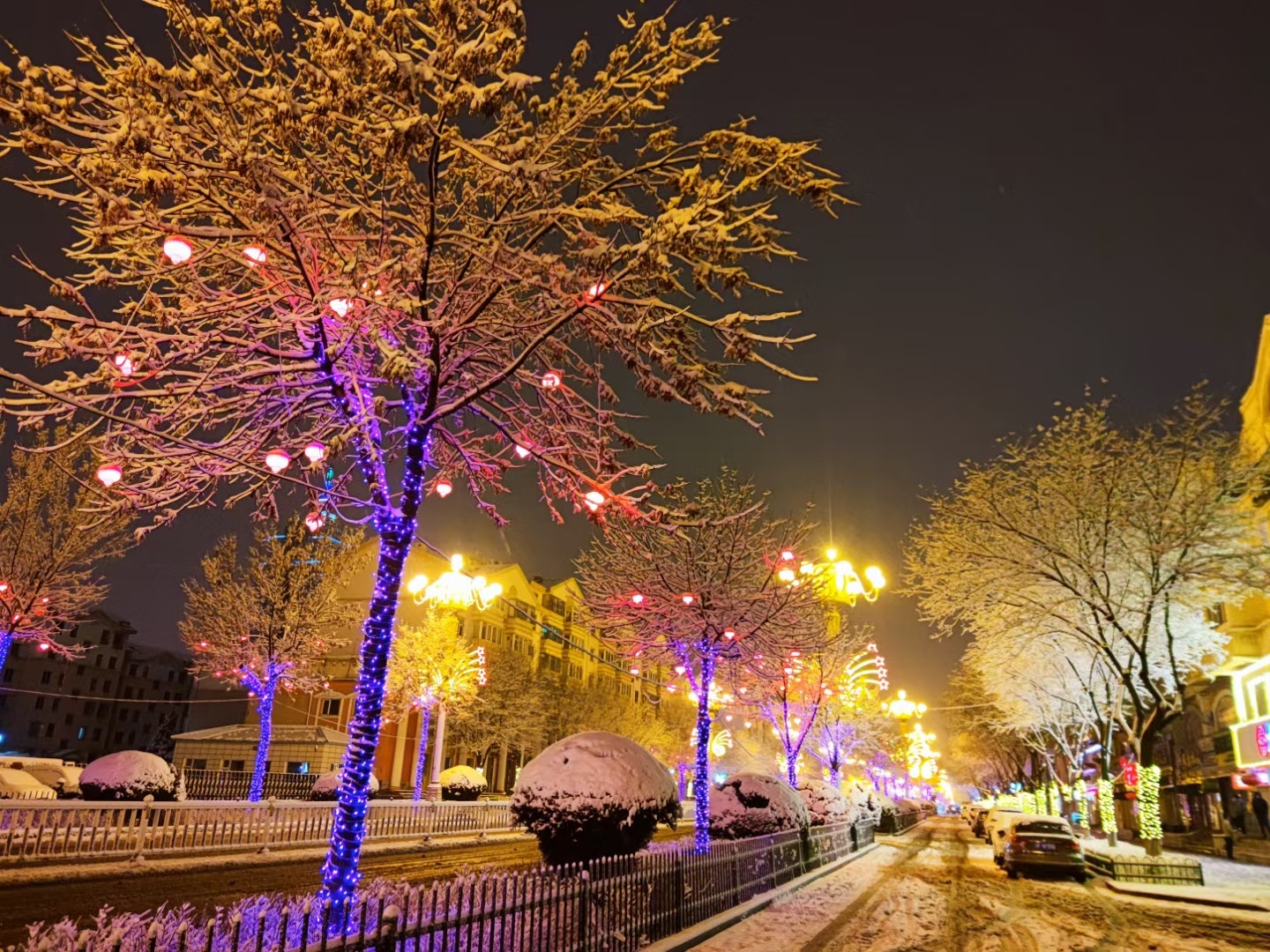 冬季的雪寒冷卻又浪漫喜歡下雪的日子