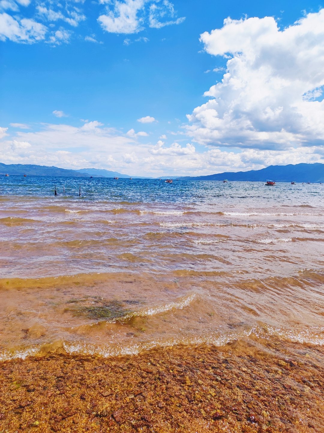 我跑到芜仙湖来了……__财经头条