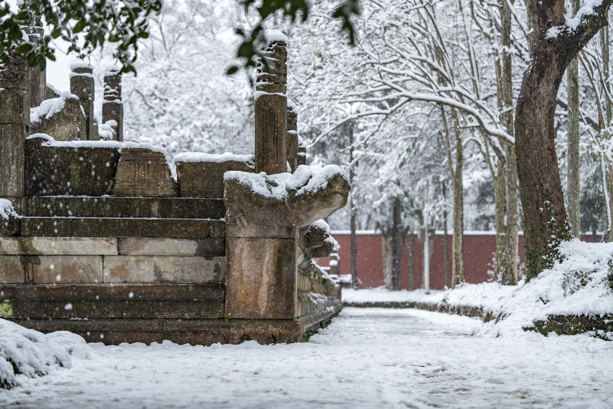 南京雪景,明孝陵紫金山 @江苏微旅游