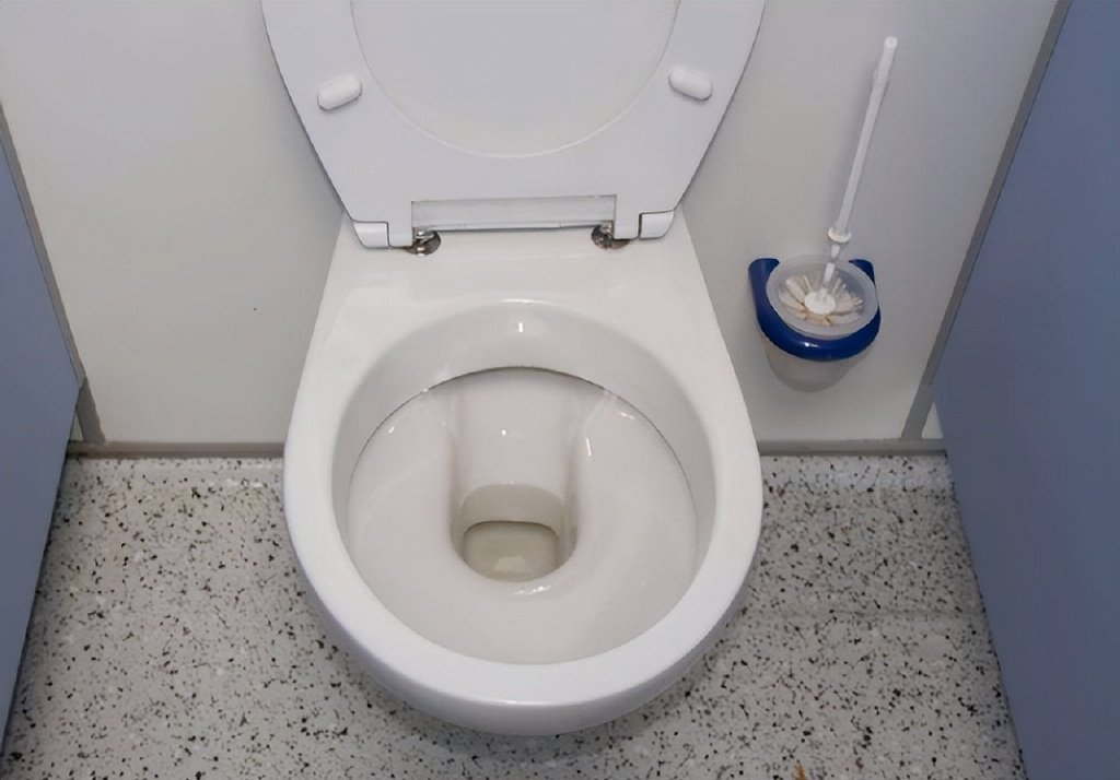 卫生间太臭怎么办？试试这2个方法，不用花钱就能帮你解决难题休闲区蓝鸢梦想 - Www.slyday.coM