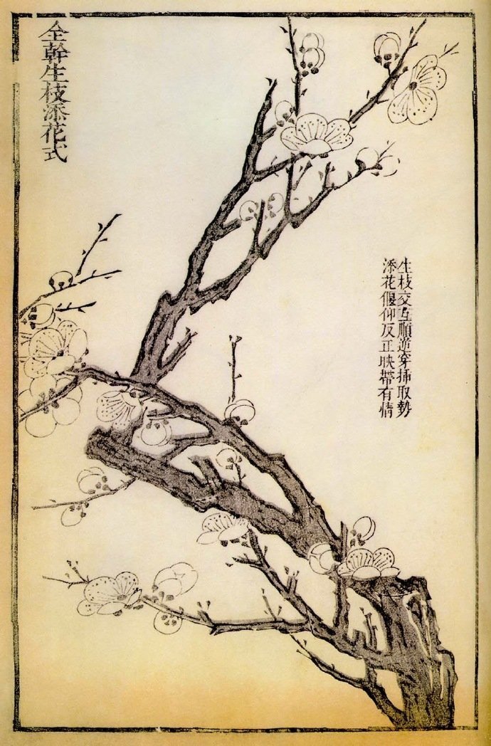 300多年前的《芥子园画谱》里,记录下的各式形态的梅花画法__财经头条