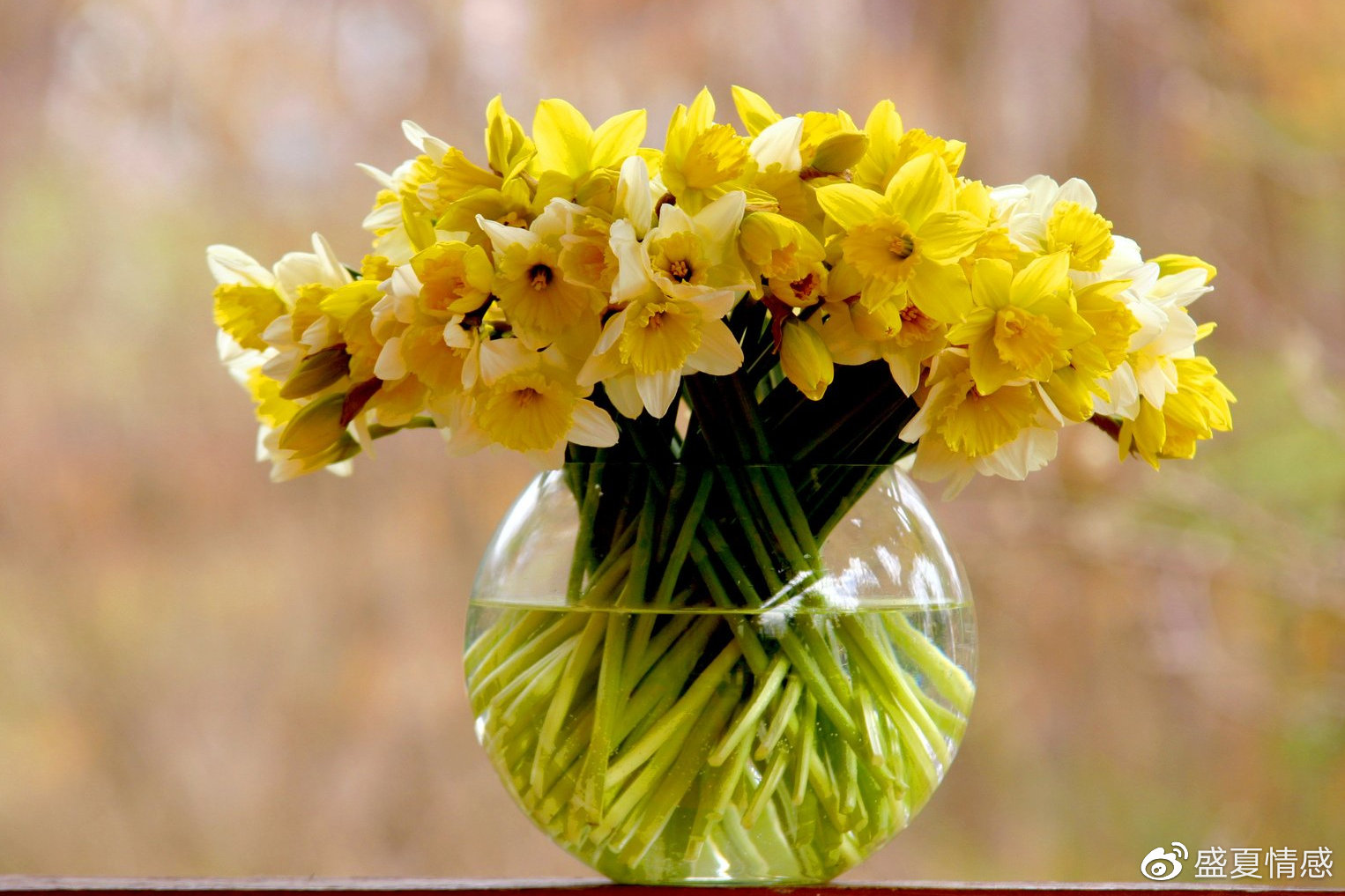 成年人的世界里,只有一件事最重要休闲区蓝鸢梦想 - Www.slyday.coM 成年人的世界里,只有一件事最重要休闲区蓝鸢梦想 - Www.slyday.coM