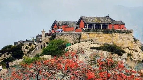 泰安秋日的小美好，总有一个触动你的心怀！|白马石|泰安|泰山_新浪新闻
