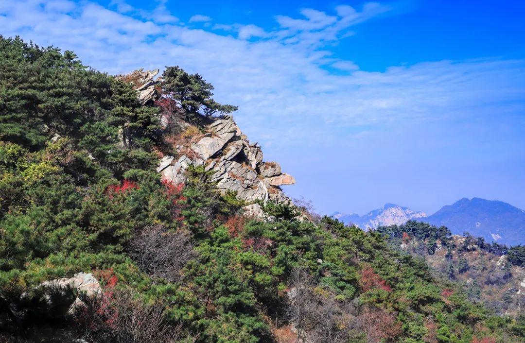 沂蒙|龟蒙景区|沂蒙山_新浪新闻